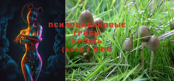ECSTASY Нефтекумск