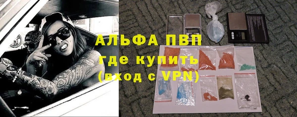 шишки Нея