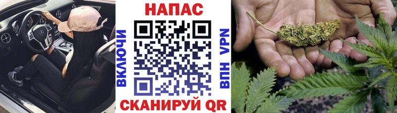 Бошки Шишки марихуана  ссылка на мегу маркетплейс  Солигалич  магазин продажи  